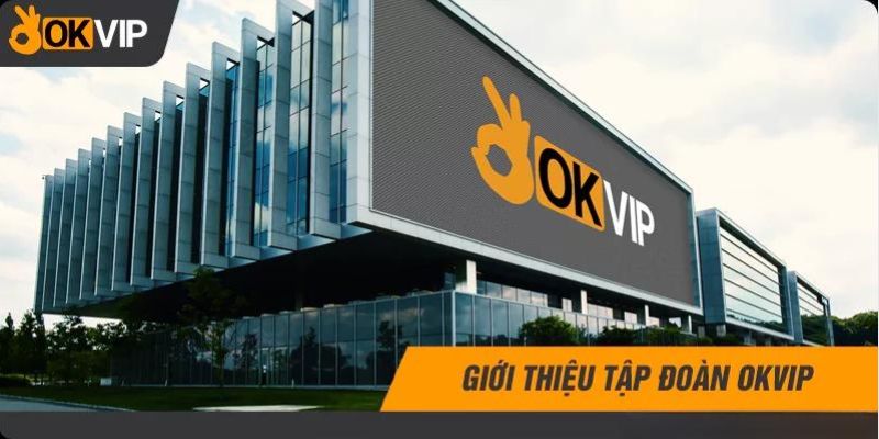 tầm nhìn okvip